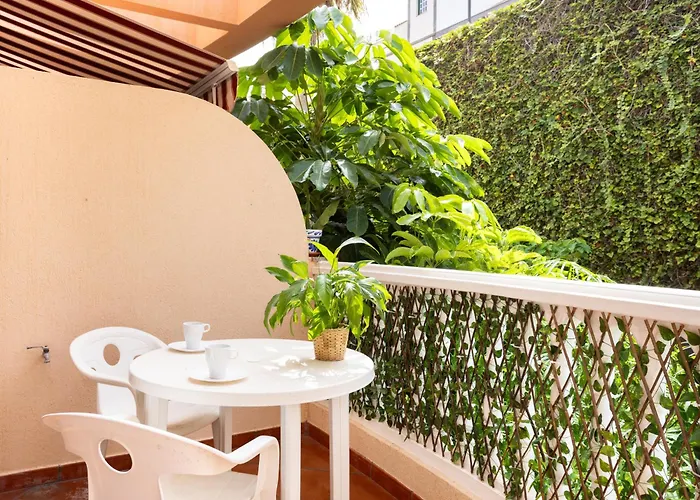 Live Garachico Humbolt *