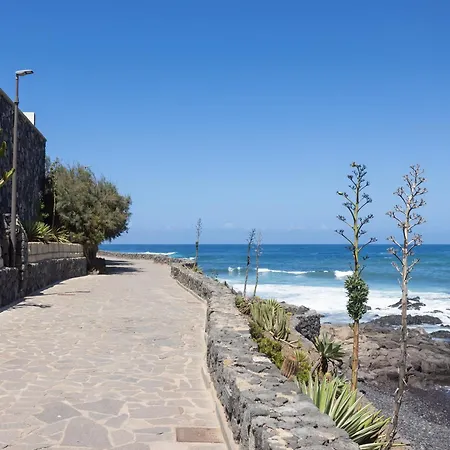 Live Garachico Humbolt